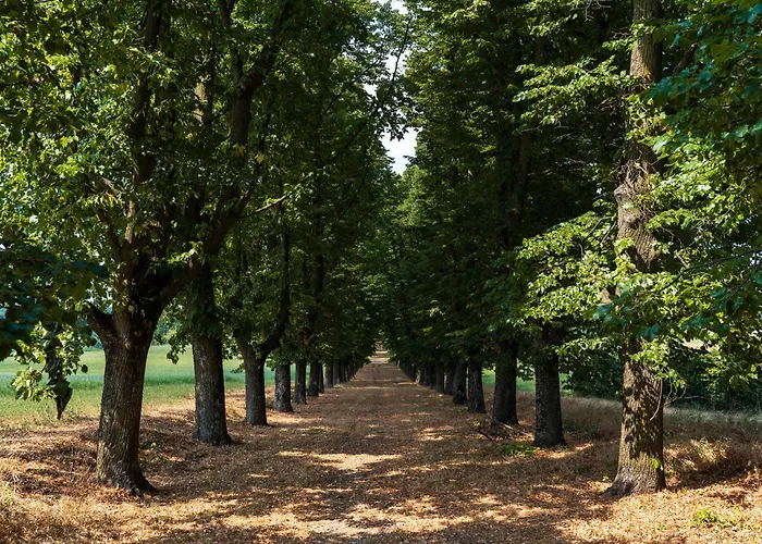 Aparthotel Il Viaggio Impresa Sociale 4*