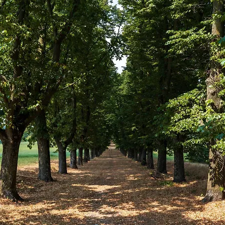 מלון דירות Il Viaggio Impresa Sociale 4*