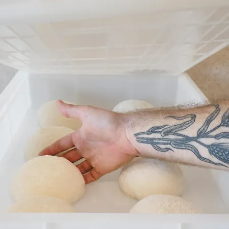 Il Viaggio Impresa Sociale מלון דירות